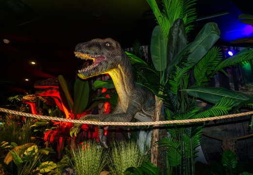World of Dinos zk 245