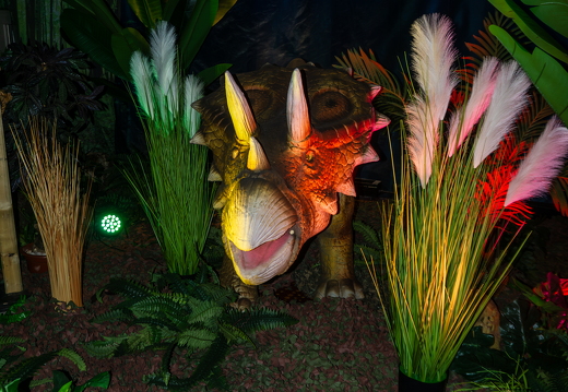 World of Dinos zk 272