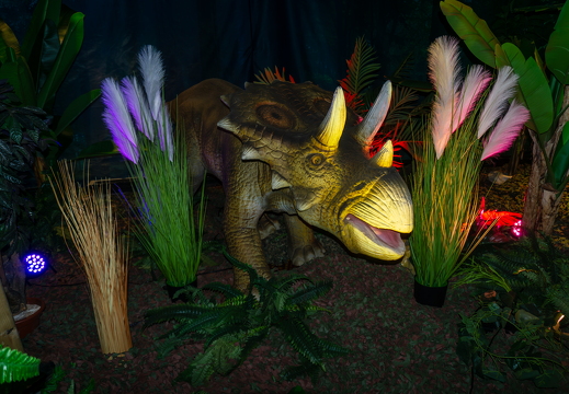 World of Dinos zk 275