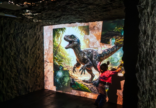 World of Dinos zk 306