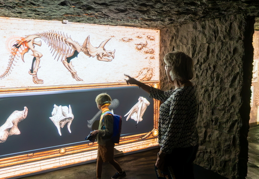 World of Dinos zk 314