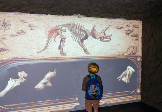 World of Dinos zk 318