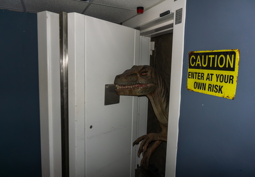 World of Dinos zk 338