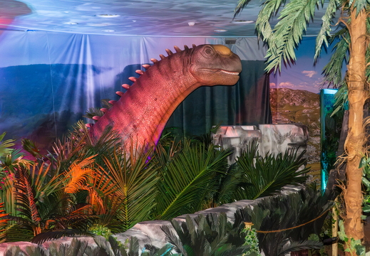 World of Dinos zk 356