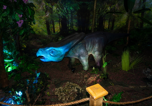 World of Dinos zk 371