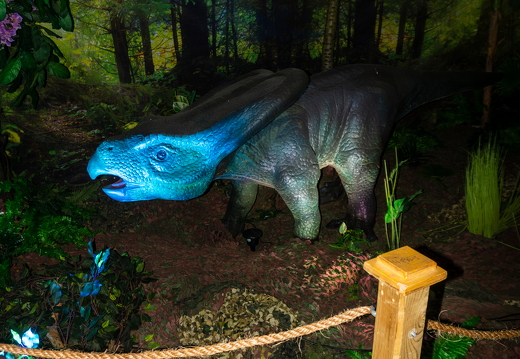 World of Dinos zk 372