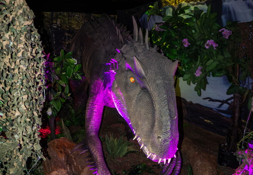 World of Dinos zk 381