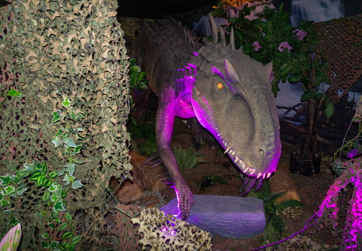 World of Dinos zk 383