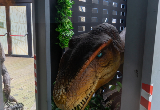 World of Dinos zk 385