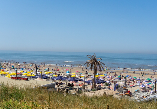 Strand zomer - zk 32