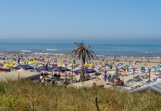 Strand zomer - zk 34