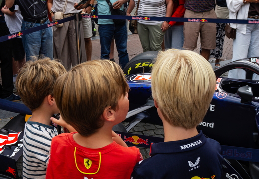 Redbull auto ZRF zk 31