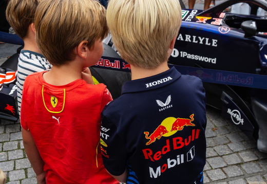 Redbull auto ZRF zk 33