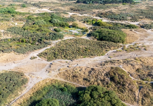 DJI 20260812181032 0002 D