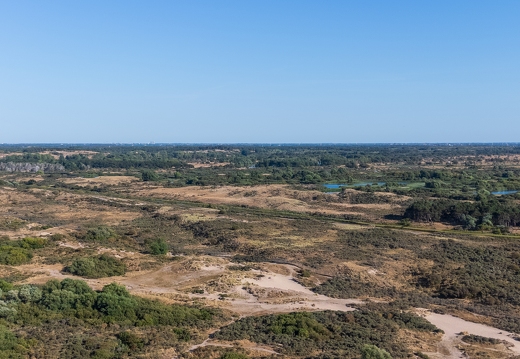DJI 20260812181246 0011 D