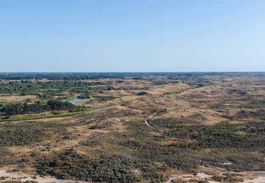 DJI 20260812181250 0012 D