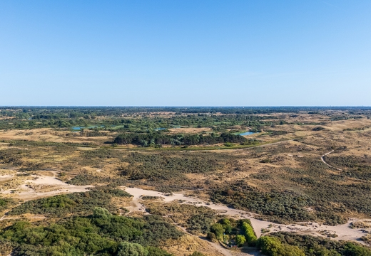 DJI 20260812181300 0014 D