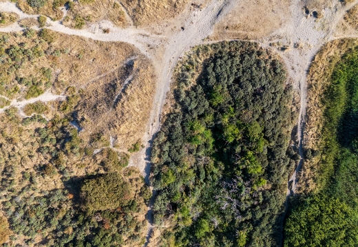DJI 20260812181310 0015 D