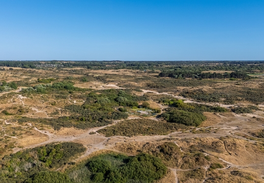 DJI 20260812181713 0034 D