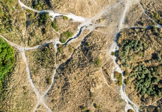 DJI 20260812181823 0039 D